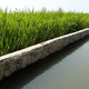 Image for article titled Irrigation might actually be raising sea levels